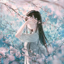 Rule 34 | 1girl, black hair, blurry, branch, cherry blossoms, closed mouth, commentary request, covered eyes, dappled sunlight, depth of field, dress, facing viewer, flower, from side, grey dress, hand up, highres, holding, holding flower, hoshi ame, long hair, original, petals, pinafore dress, pink flower, pleated dress, shirt, sleeveless dress, sleeves pushed up, smile, solo, spring (season), sunlight, upper body, white shirt
