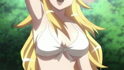 Rule 34 | 10s, 1girl, animated, animated gif, ben-tou, bikini, blonde hair, bouncing breasts, breasts, cleavage, large breasts, shaga ayame, swimsuit