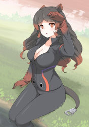 Rule 34 | 1girl, :o, absurdres, animal ears, arm at side, arm up, black hair, black pants, breasts, cleavage, collarbone, collared jacket, day, dutch angle, fake tail, fisheye, gloves, grass, hand rest, high collar, highres, hippopotamus (kemono friends), hippopotamus ears, jacket, kemono friends, large breasts, light blush, long hair, long sleeves, looking at viewer, multicolored hair, nyaseiru, outdoors, pants, parted lips, partially unzipped, red eyes, red gloves, red hair, red sky, sitting, sky, solo, tail, two-tone hair, water, zipper, zipper pull tab