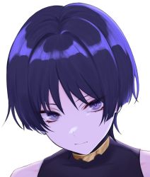 Rule 34 | 1boy, closed mouth, eyeliner, genshin impact, highres, ij xcm4o, japanese clothes, looking at viewer, portrait, purple eyes, purple hair, red eyeliner, scaramouche (genshin impact), short hair, sleeveless