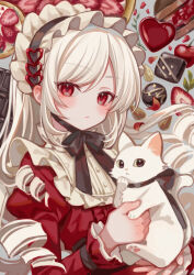 Rule 34 | 1girl, absurdres, animal, animal ear fluff, black hairband, blush, cat, chocolate, closed mouth, commentary request, dress, food, frilled hairband, frills, fruit, grey background, hairband, heart, highres, holding, holding animal, juliet sleeves, long hair, long sleeves, looking at viewer, original, parted bangs, puffy sleeves, red dress, red eyes, ringlets, solo, strawberry, suzaku (zaku6584), upper body, valentine, very long hair, white cat, white hair