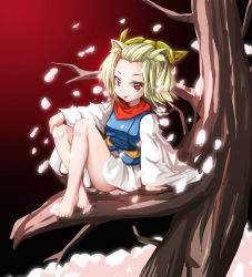 Rule 34 | 1girl, absurdres, animal ears, barefoot, blonde hair, duel monster, feet, female focus, furumeta, ghost ash &amp; beautiful spring, gradient background, highres, japanese clothes, looking at viewer, petals, red background, red eyes, sitting, solo, tongue, tongue out, tree, yu-gi-oh!, yu-gi-oh! duel monsters