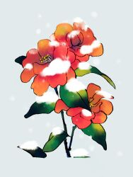 Rule 34 | camellia, flower, flower focus, grey background, ka (marukogedago), leaf, no humans, original, plant, red flower, simple background, snow, still life
