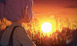 Rule 34 | 10s, 1girl, backlighting, blurry, cloud, depth of field, evening, from behind, hair ornament, kantai collection, looking afar, orange sky, outdoors, pink hair, plant, ponytail, shiranui (kancolle), shirt, short hair, short ponytail, short sleeves, sky, solo, sun, sunlight, sunset, tomato (lsj44867), upper body, vest, white shirt