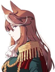 Rule 34 | 1girl, animal ears, ascot, brown hair, cape, closed mouth, commentary request, crossed arms, epaulettes, from side, green shirt, hair between eyes, highres, horse ears, horse girl, light blush, long hair, long sleeves, looking at viewer, military uniform, multicolored hair, purple eyes, red cape, shirt, side cape, sideways glance, single epaulette, solo, streaked hair, symboli rudolf (umamusume), taisaaa, umamusume, uniform, upper body, very long hair, white ascot, white background, white hair
