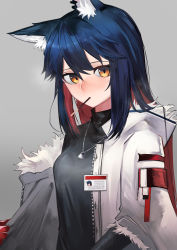 Rule 34 | 1girl, animal ear fluff, animal ears, ao oni (onioni-aoi), arknights, black shirt, blue hair, blush, breasts, colored inner hair, commentary request, ear piercing, food, fur-trimmed sleeves, fur trim, gloves, gradient background, grey background, highres, id card, jacket, jewelry, long sleeves, looking at viewer, medium breasts, mouth hold, multicolored hair, necklace, nose blush, off shoulder, official alternate costume, open clothes, open jacket, orange eyes, piercing, pocky, red gloves, red hair, shirt, solo, texas (arknights), texas (winter messenger) (arknights), two-tone hair, unzipped, upper body, white jacket, wolf ears