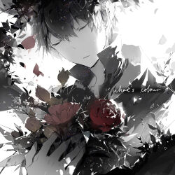 Rule 34 | 1boy, black hair, black shirt, bud, closed eyes, closed mouth, collared shirt, commentary request, english text, expressionless, flower, hair between eyes, high collar, holding, holding flower, indie utaite, leaf, light particles, male focus, petals, pink flower, plant, red flower, red rose, rella, rose, shirt, shoose, short hair, solo, song name, upper body, utaite, vines, white background