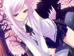 Rule 34 | 00s, 1girl, blush, cherry blossoms, game cg, girl on top, hair ornament, hairpin, kawata hisashi, lucy maria misora, pink hair, reference work, skirt, solo, straddling, to heart (series), to heart 2, tree
