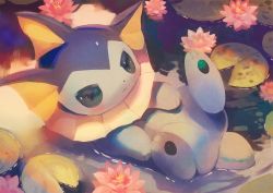 Rule 34 | bad id, bad pixiv id, commentary request, creatures (company), flower, full body, game freak, gen 1 pokemon, lily pad, lying, manino (mofuritaionaka), nintendo, no humans, outdoors, pink flower, pokemon, pokemon (creature), solo, vaporeon, water