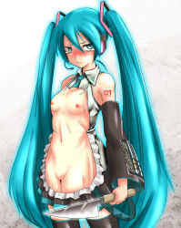 Rule 34 | 1girl, ao usagi, apron, aqua eyes, aqua hair, blush, breasts, detached sleeves, embarrassed, female focus, hatsune miku, holding, knife, long hair, looking at viewer, nipples, parody, pun, pussy, simple background, skirt, small breasts, solo, standing, tattoo, tears, thighhighs, too literal, twintails, very long hair, vocaloid, white background