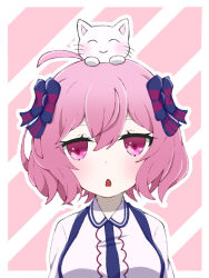 Rule 34 | 1girl, ahoge, animal, animal on head, blue bow, border, bow, cat, cat on head, collared shirt, dot nose, eyelashes, hair bow, indie utaite, kaoru (xukf3388), long sleeves, looking at viewer, nqrse, on head, open mouth, pink eyes, pink hair, shirt, short hair, solo, upper body, white border, white cat, white shirt