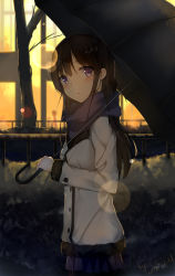 Rule 34 | 1girl, absurdres, artist name, black hair, black pantyhose, black scarf, black skirt, blush, cg (2686805355), coat, cowboy shot, dated, from side, fur trim, highres, holding, holding umbrella, lens flare, long hair, long sleeves, looking at viewer, miniskirt, night, original, outdoors, pantyhose, parted lips, pleated skirt, purple eyes, scarf, signature, skirt, solo, umbrella