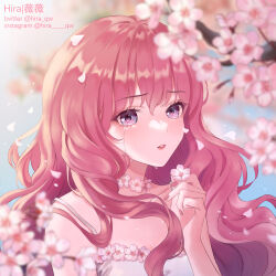 Rule 34 | 1girl, absurdres, artist name, cherry blossoms, crying, dress, falling petals, highres, hira qw, instagram username, original, petals, pink hair, solo, streaming tears, tears, twitter username, white dress