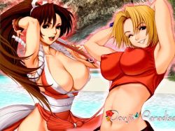 Rule 34 | 2girls, armpits, arms up, beach, blonde hair, blue mary, breasts, brown hair, cleavage, covered erect nipples, fatal fury, fingerless gloves, gloves, halterneck, large breasts, long hair, midriff, multiple girls, one eye closed, pelvic curtain, ponytail, saigado, shiranui mai, short hair, smile, snk, the king of fighters, wallpaper, water, wink