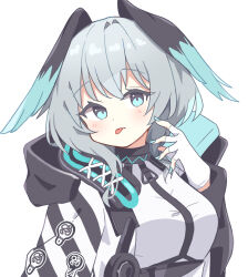 Rule 34 | 1girl, :p, arknights, blue eyes, blue nails, blush, breasts, closed mouth, commentary, fingernails, gloves, grey hair, head wings, highres, ho&#039;olheyak (arknights), jacket, large breasts, looking at viewer, medium hair, ryoku sui, simple background, solo, tongue, tongue out, upper body, white background, white gloves, wings