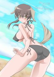 Rule 34 | 1girl, absurdres, animal ears, artist request, ass, back, bare shoulders, beach, bikini, black bikini, black panties, blush, breasts, brown hair, butt crack, character name, dog ears, dog tail, gertrud barkhorn, hair ribbon, highres, long hair, looking at viewer, ocean, panties, ribbon, side-tie panties, smile, strike witches, swimsuit, tail, twintails, underwear, world witches series, yellow eyes