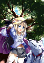 1girl absurdres blonde_hair blue_eyes cape casual dog fang female_focus hat highres little_busters! noumi_kudryavka panties pantyshot pink_panties reita shorts solo strelka tree underwear upshorts