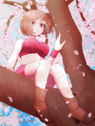 Rule 34 | 1girl, brown hair, cherry blossoms, from below, highres, kalm3535, looking at viewer, looking down, meiko (vocaloid), midriff, miniskirt, outdoors, red eyes, short hair, sitting on branch, skirt, sleeveless, solo, vocaloid