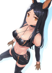 Rule 34 | 1girl, animal ears, arknights, arm warmers, bad id, bad pixiv id, bare shoulders, black hair, black shirt, black skirt, black thighhighs, breasts, brown eyes, brown gloves, choker, cleavage, commentary request, crop top, cross-laced clothes, cross-laced top, dobermann (arknights), drop shadow, expressionless, gloves, halterneck, long hair, looking at viewer, medium breasts, midriff, miniskirt, mokyumokyuchan, navel, shirt, skirt, sleeveless, sleeveless shirt, solo, stomach, thick eyebrows, thighhighs, zettai ryouiki
