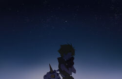 Rule 34 | blonde hair, digimon, digimon (creature), gabumon, horns, ishida yamato, short hair, sky, star (sky), starry sky