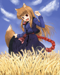 Rule 34 | 00s, animal ears, brown hair, holo, long hair, nekohane ryou, red eyes, solo, spice and wolf, tail, wheat, wolf ears, wolf tail