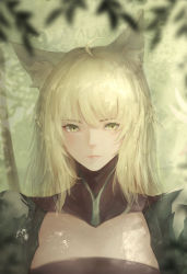 Rule 34 | 1girl, ahoge, animal ears, atalanta (fate), blonde hair, blurry, blurry foreground, cat ears, character name, closed mouth, commentary request, depth of field, dress, fate/apocrypha, fate (series), green dress, hair between eyes, highres, long hair, looking at viewer, marumoru, solo, yellow eyes