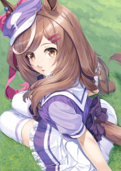 Rule 34 | 1girl, animal ears, brown eyes, brown footwear, brown hair, commentary request, from above, from behind, grass, hair ornament, hairclip, hat, horse ears, horse girl, horse tail, loafers, looking at viewer, matikane tannhauser (umamusume), medium hair, miri (ago550421), multicolored hair, pleated skirt, purple hat, sailor collar, school uniform, shoes, sitting, skirt, solo, streaked hair, tail, thighhighs, tracen school uniform, umamusume, white hair, white sailor collar, white skirt, white thighhighs, zettai ryouiki