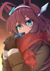 Rule 34 | 1girl, ahoge, animal ears, black gloves, blue eyes, blush, brown coat, brown hair, coat, commentary, covering own mouth, ear ornament, english commentary, enpera, fringe trim, gift, gloves, hair ornament, hairband, highres, holding, holding gift, horse ears, horse girl, long hair, long sleeves, looking at viewer, mihono bourbon (umamusume), mixed-language commentary, red scarf, scarf, solo, tokia (17141031otw), umamusume, upper body, valentine, white hairband
