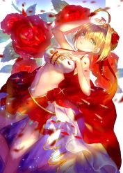 Rule 34 | 1girl, ahoge, blonde hair, breasts, cleavage, dutch angle, emoillu, fate/grand order, fate (series), flower, green eyes, hair intakes, hand on own chest, hand on own head, large breasts, leaf, navel, nero claudius (fate), nero claudius (fate), nero claudius (fate/extra), rose, solo, waist cape