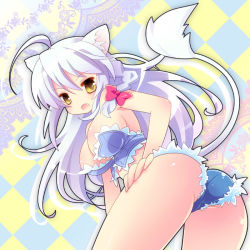 Rule 34 | 10s, 1girl, :o, ahoge, animal ears, ass, breasts, bustier, cat ears, cat tail, cleavage, cutoffs, dog days, fang, large breasts, legs, leonmitchelli galette des rois, lingerie, long hair, micro shorts, short shorts, shorts, sideboob, solo, suzuki kokono, tail, thighs, underwear, white hair, yellow eyes