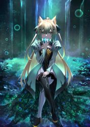 Rule 34 | 1girl, ahoge, animal ears, apple, atalanta (fate), black footwear, black thighhighs, blonde hair, blue flower, bow, bubble, cat ears, christmas stocking, closed mouth, crossed legs, dress, fate/grand order, fate (series), flower, food, forest, fruit, full body, gradient hair, green apple, green bow, green dress, green eyes, hair between eyes, hair bow, hand on own leg, highres, holding, holding food, kaze minoru so-ru, lake, long hair, long sleeves, looking at viewer, multicolored hair, nature, nekomata, ornament, sitting, solo, christmas stocking, thighhighs, tree, tree stump, twintails, water, waterfall, white thighhighs, wide sleeves