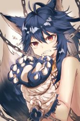 Rule 34 | 10s, 1girl, ahoge, animal ears, animal hands, bare shoulders, blue hair, bound, bound wrists, chain, choker, clenched teeth, fangs, fenrir (shingeki no bahamut), frown, granblue fantasy, hair between eyes, kaio (watagami), long hair, looking at viewer, red eyes, shingeki no bahamut, simple background, solo, tail, teeth, tied up, tsurime, wolf ears, wolf paws, wolf tail
