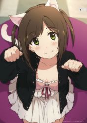 Rule 34 | 1girl, absurdres, animal ears, breasts, brown hair, cat ears, cat tail, cleavage, collarbone, downblouse, dress, fang, green eyes, highres, idolmaster, idolmaster cinderella girls, jacket, kemonomimi mode, long sleeves, maekawa miku, ogipote, open clothes, open jacket, paw pose, scan, small breasts, smile, solo, tail, white dress