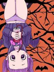 Rule 34 | 1girl, bat (animal), blush stickers, bow, can, cardigan, demon wings, drinking, female focus, fxxk law, halloween, hanging from tree, legs together, orange background, original, panties, pink bow, pointy ears, purple eyes, purple panties, sailor collar, solo, thighs, tree, twintails, underwear, upside-down, wings