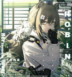 Rule 34 | 1girl, animal ears, animal hands, arknights, bags under eyes, black gloves, brown hair, character name, closed mouth, cross tie, english text, from side, gloves, hand on own face, hand up, highres, indoors, long hair, long sleeves, looking at viewer, looking to the side, plant, polka dot, polka dot shirt, ponytail, potted plant, raccoon ears, robin (arknights), shirt, solo, unmoving pattern, upper body, white shirt, window, xiu kukkii, yellow eyes