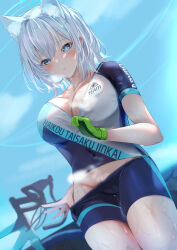 Rule 34 | 1girl, animal ear fluff, animal ears, bicycle, bike jersey, bike shorts, blue archive, blue eyes, blue sky, breasts, clothes pull, commentary, covered navel, gloves, green gloves, grey hair, hair ornament, highres, large breasts, no bra, no panties, official alternate costume, outdoors, partially unzipped, shiroko (blue archive), shiroko (cycling) (blue archive), short hair, shorts, shorts pull, sky, solo, steaming body, sweat, toukaiseiya, x hair ornament