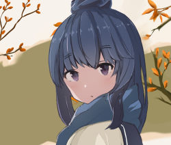Rule 34 | 1girl, autumn, autumn leaves, blue hair, blue scarf, branch, check commentary, closed mouth, commentary, commentary request, from side, green background, hair bun, light blush, long hair, looking at viewer, multicolored background, nyagonya21, outdoors, purple eyes, scarf, shima rin, single hair bun, solo, upper body, winter clothes, yurucamp