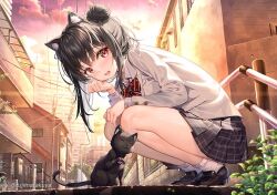 Rule 34 | 1girl, :d, animal, animal ear fluff, animal ears, balcony, black cat, black footwear, black skirt, blazer, bow, building, cat, cat ears, cloud, collared shirt, commentary request, diagonal-striped bow, fujima takuya, grey jacket, hair bun, jacket, loafers, looking at viewer, open mouth, original, outdoors, plant, pleated skirt, railing, red bow, red eyes, school uniform, shirt, shoes, skirt, sky, smile, socks, solo, squatting, sunset, twitter username, white shirt, white socks
