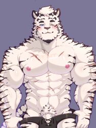 Rule 34 | 1boy, abs, animal ears, arknights, bara, biceps, black male underwear, bulge, cowboy shot, cross-laced underwear, equinoxreverie, facial hair, flaccid, furry, furry male, goatee, highres, large pectorals, looking at viewer, male focus, male underwear, mountain (arknights), muscular, muscular male, navel, nipples, one eye closed, pectorals, penis, penis peek, scar, scar across eye, scar on arm, seductive smile, short hair, simple background, smile, solo, standing, stomach, straight-on, thick eyebrows, tiger boy, tiger ears, topless male, underwear, undressing, white fur, white hair