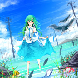 Rule 34 | 1girl, absurdres, bird, blue skirt, blue sky, blush, clothes lift, cloud, cloudy sky, damaged, day, detached sleeves, feathers, frog hair ornament, grass, green eyes, green hair, hair ornament, hair tubes, highres, horizon, kochiya sanae, metalwasabi, open mouth, outdoors, power lines, sign, skirt, skirt lift, sky, sleeveless, snake hair ornament, touhou, vest, wading, water, wind