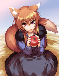Rule 34 | 00s, 1girl, animal ears, apple, brown hair, fang, food, fruit, hisahiko, holding, holding food, holding fruit, holo, long hair, red eyes, solo, spice and wolf, tail, wolf ears, wolf tail