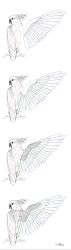 Rule 34 | anatomy, animal, beak, bird, feathers, fishball, highres, how to, no humans, simple background, sketch, wings