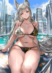 Rule 34 | 1girl, animal ears, bikini, blush, breasts, cleavage, closed mouth, collarbone, commentary request, grey hair, highres, large breasts, long hair, looking at viewer, navel, original, outdoors, pool, purple eyes, ran&#039;ou (tamago no kimi), sitting, smile, solo, stomach, swimsuit, tail, thighs, two-tone bikini, underboob, water