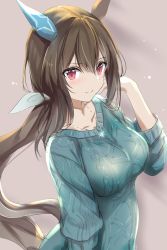 Rule 34 | 1girl, absurdres, admire vega (umamusume), animal ears, blush, breasts, brown hair, casual, commentary request, highres, horse ears, horse girl, horse tail, jewelry, long hair, looking at viewer, medium breasts, necklace, ponytail, purple eyes, simple background, smile, solo, tail, umamusume, uu-tan (hushigi10)