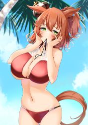 Rule 34 | 1girl, absurdres, animal ears, aston machan (umamusume), bare arms, bare shoulders, bikini, blue sky, blush, brown hair, cloud, commentary request, cowboy shot, day, embarrassed, green eyes, hands up, highres, horse ears, komb, looking at viewer, medium hair, navel, ponytail, red bikini, sky, smile, solo, standing, stomach, swimsuit, tail, umamusume
