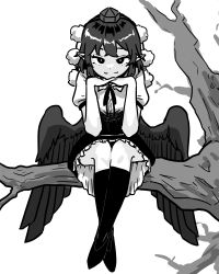 Rule 34 | 1girl, absurdres, bare tree, bird wings, closed mouth, full body, greyscale, hat, high contrast, highres, looking at viewer, monochrome, neophyte, outdoors, pointy ears, pom pom (clothes), shameimaru aya, short hair, simple background, sitting on branch, smile, solo, thighhighs, tokin hat, touhou, tree, wings