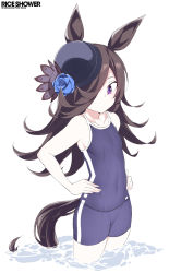 Rule 34 | 1girl, animal ears, blue flower, blue hat, blue one-piece swimsuit, blue rose, brown hair, character name, closed mouth, copyright name, flat chest, flower, hair over one eye, hands on own hips, hat, hat flower, horse ears, horse girl, horse tail, long hair, one-piece swimsuit, partially submerged, purple eyes, rice shower (umamusume), rose, shigino sohuzi, simple background, solo, swimsuit, tail, thighs, tilted headwear, umamusume, water, white background