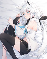 Rule 34 | 1girl, absurdres, ahoge, animal ear fluff, animal ears, aqua eyes, bare shoulders, bed, bed sheet, belly, between legs, black shorts, black thighhighs, blush, bow, braid, curled fingers, curled up, detached sleeves, ear piercing, earrings, fox ears, fox girl, fox tail, full body, hair between eyes, hair ornament, highres, hololive, jewelry, key, knees up, legs together, long hair, looking at viewer, midriff, multicolored hair, multicolored tail, navel, open mouth, piercing, ponytail, shano hiyori, shirakami fubuki, shirakami fubuki (1st costume), shirt, shorts, straight hair, tail, tail between legs, thighhighs, thighs, very long hair, virtual youtuber, white hair, white shirt, zettai ryouiki