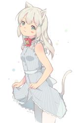 Rule 34 | 1girl, animal ears, blue dress, cat ears, cat girl, cat tail, dress, grey hair, leoharju, looking at viewer, neck bell, original, pantyhose, signature, simple background, sleeveless, sleeveless dress, solo, tail, thighhighs, white background