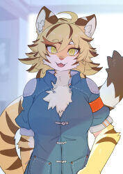 Rule 34 | 1girl, ahoge, animal ear fluff, animal ears, animal nose, animal print, armband, blonde hair, blue jacket, blurry, blurry background, body fur, brown hair, collared jacket, day, fangs, furry, furry female, hanadaiteol, highres, indoors, jacket, looking at viewer, multicolored hair, open mouth, original, pocket, red armband, short hair, smile, solo, standing, streaked hair, tail, tiger ears, tiger girl, tiger tail, two-tone hair, upper body, white fur, yellow eyes, yellow fur